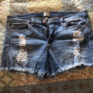 Sneek Peak ladie’s denim shorts size large